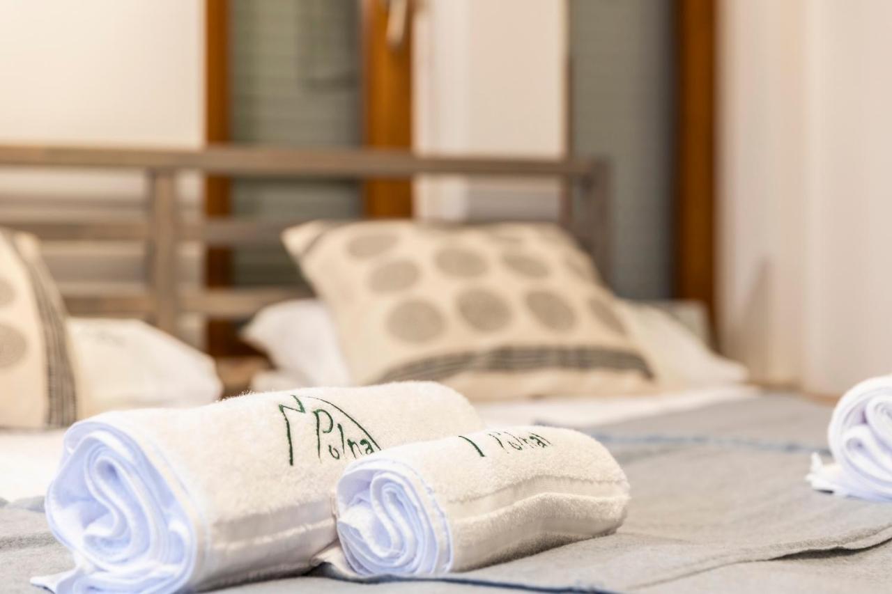 Apartament Polna 扎科帕内 外观 照片